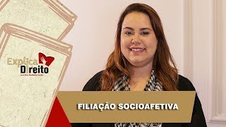 Explica Direito Filiação Socioafetiva  2019 [upl. by Molohs]