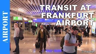 TRANSIT WALK AT FRANKFURT Airport FRA Terminal 1  Connection Flight Transfer Arriving amp Departing [upl. by Roderigo251]